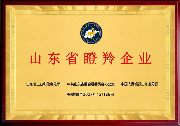 山東省“瞪羚企業(yè)”